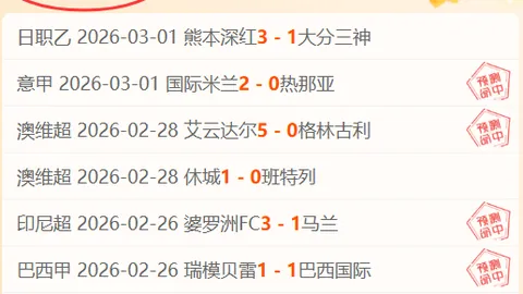 32岁巴西教头欧洲生涯落幕，开启新篇章：能否重返顶级联赛？